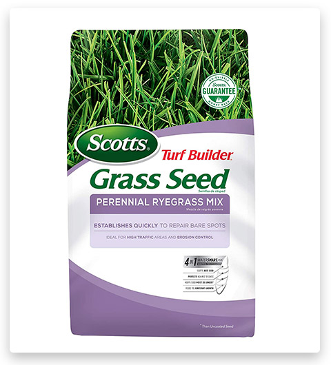 Scotts Turf Builder Grass Seed