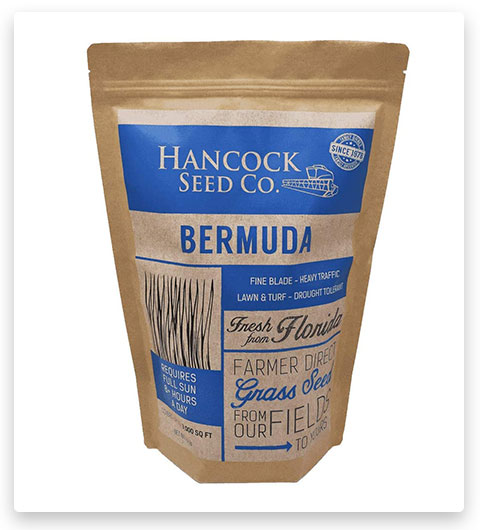 Hancock's Bermuda Grass Seed