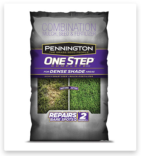 Pennington Dense Shade Bare Spot Grass Seed