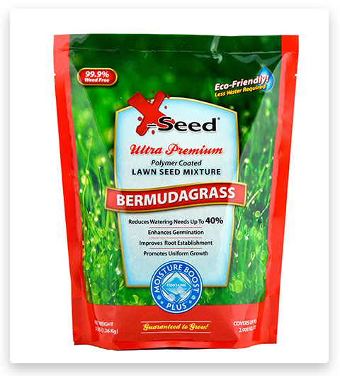 X-Seed Bermuda Grass Lawn Seed