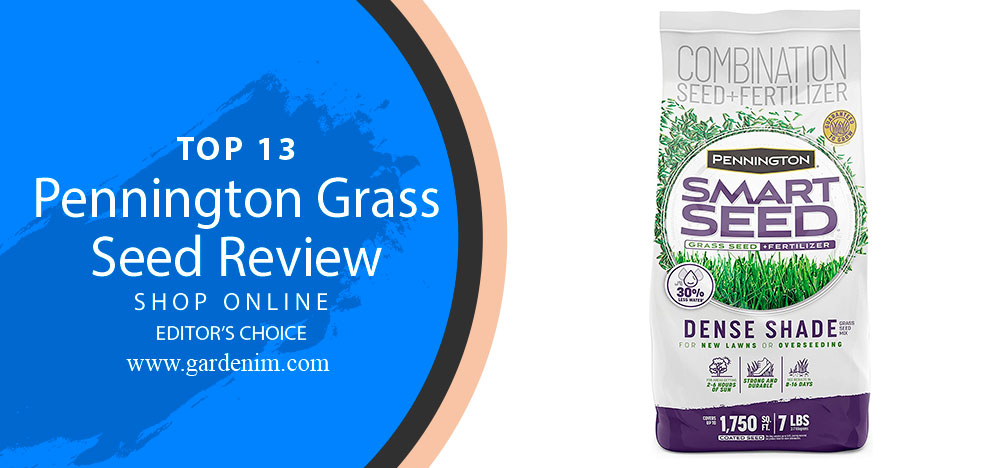 Pennington Grass seed Review