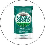 Pennington Grass Seed Review 2023