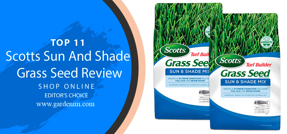 Scotts Sun And Shade Grass Seed Review