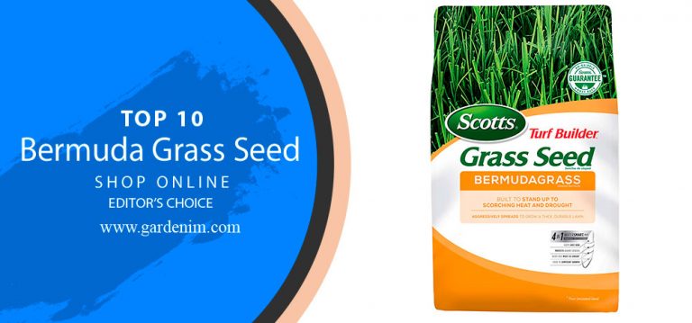 Best Bermuda Grass Seed 2023 | TOP 10 Scotts Bermuda Grass Seed