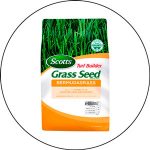 Best Bermuda Grass Seed 2023