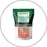 Best Fescue Grass Seed 2023